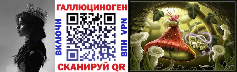 где найти   Зима  Псилоцибиновые грибы прущие грибы 