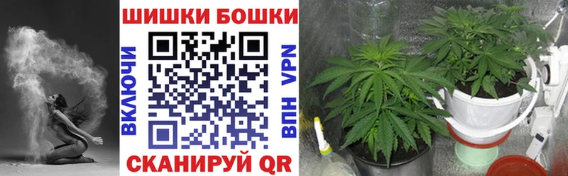где купить наркотик Зима блэк спрут маркетплейс Бошки марихуана AK-47